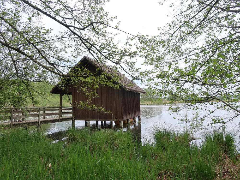 Hütte am Bommerweier