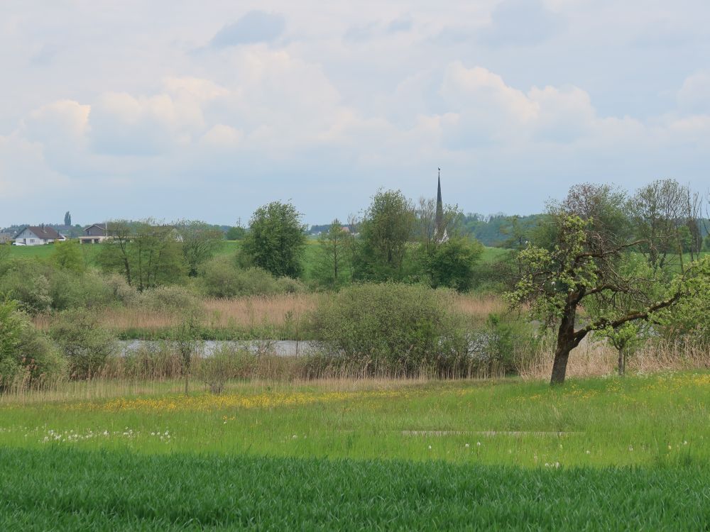 Bommerweier und Kirchturm Alterswilen