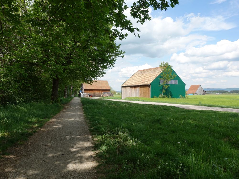 Wanderweg an der Breg