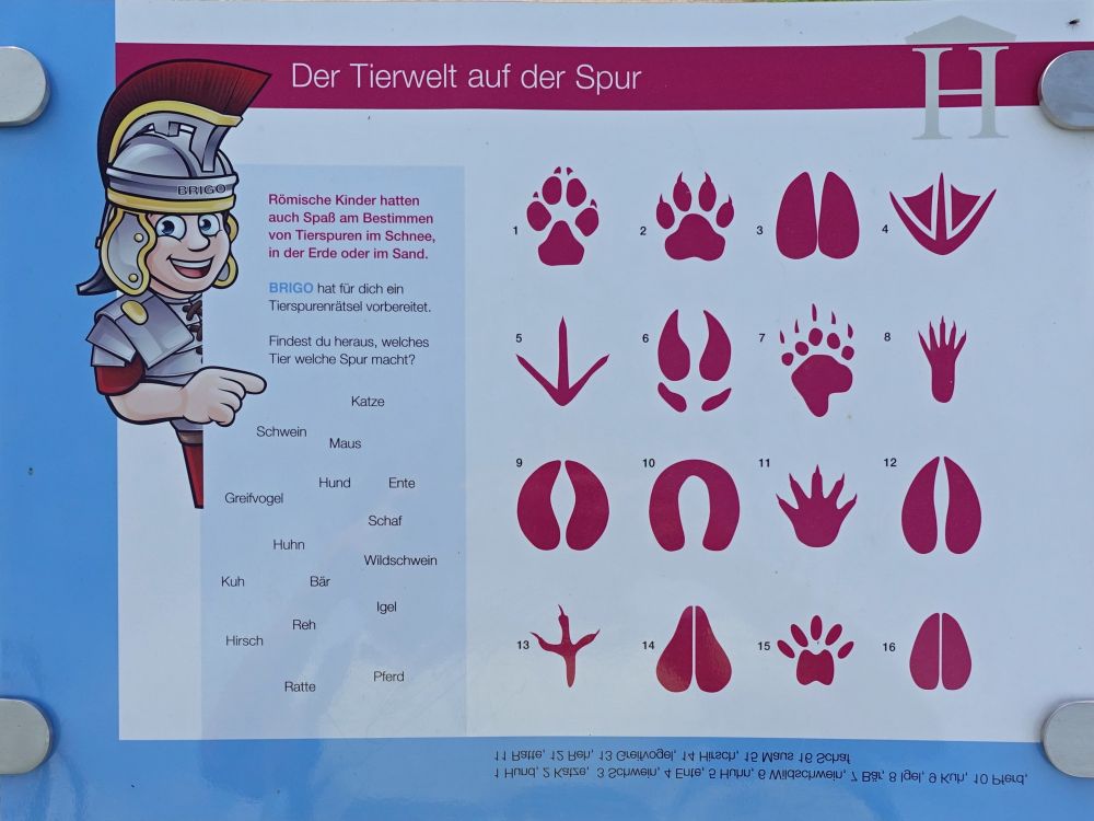 Infotafel Tierspuren