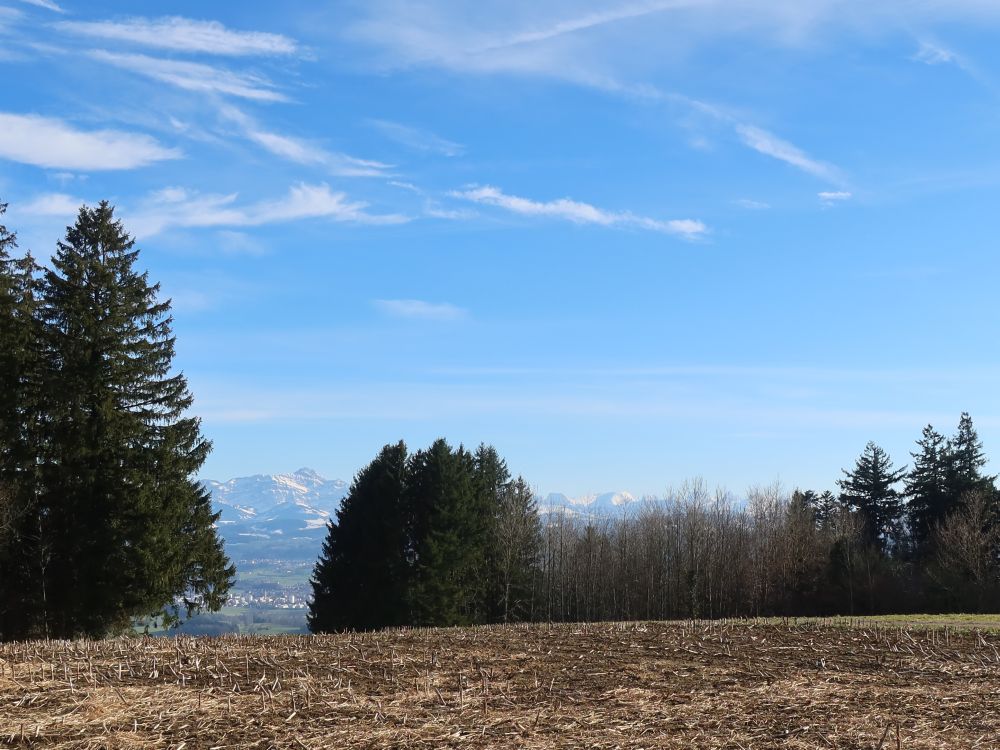 Säntis in Baumlücke