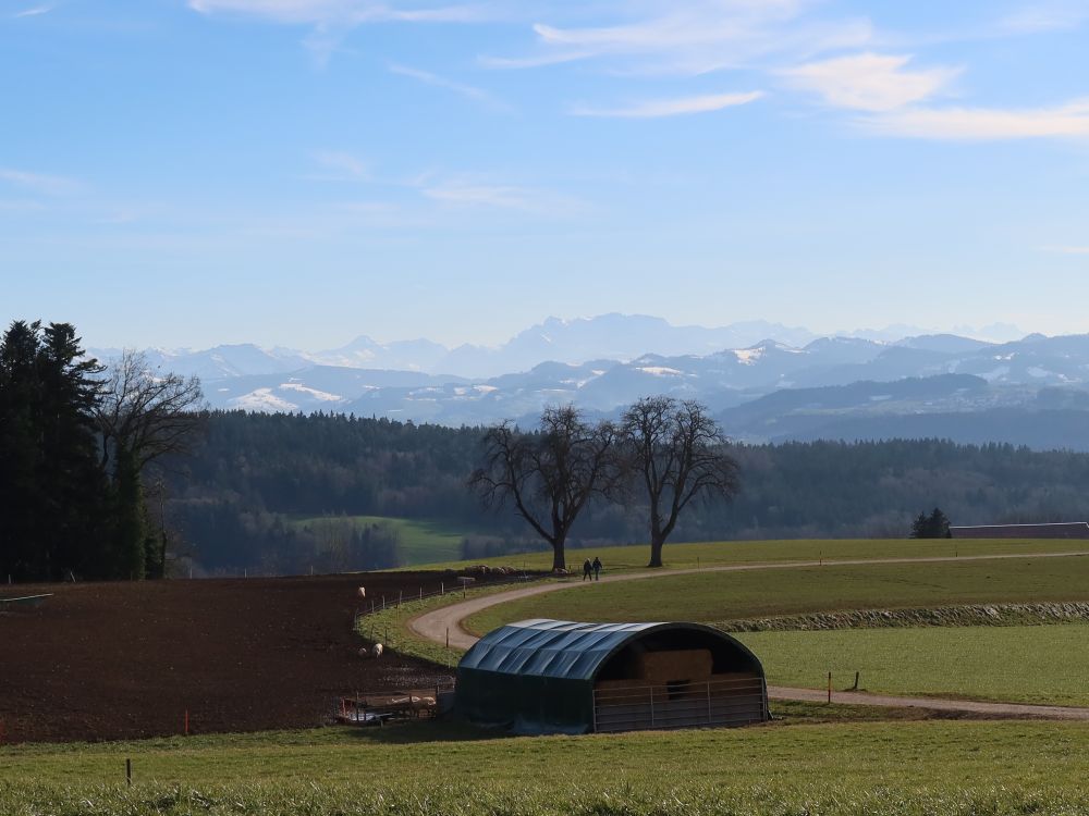 Glarner Alpen