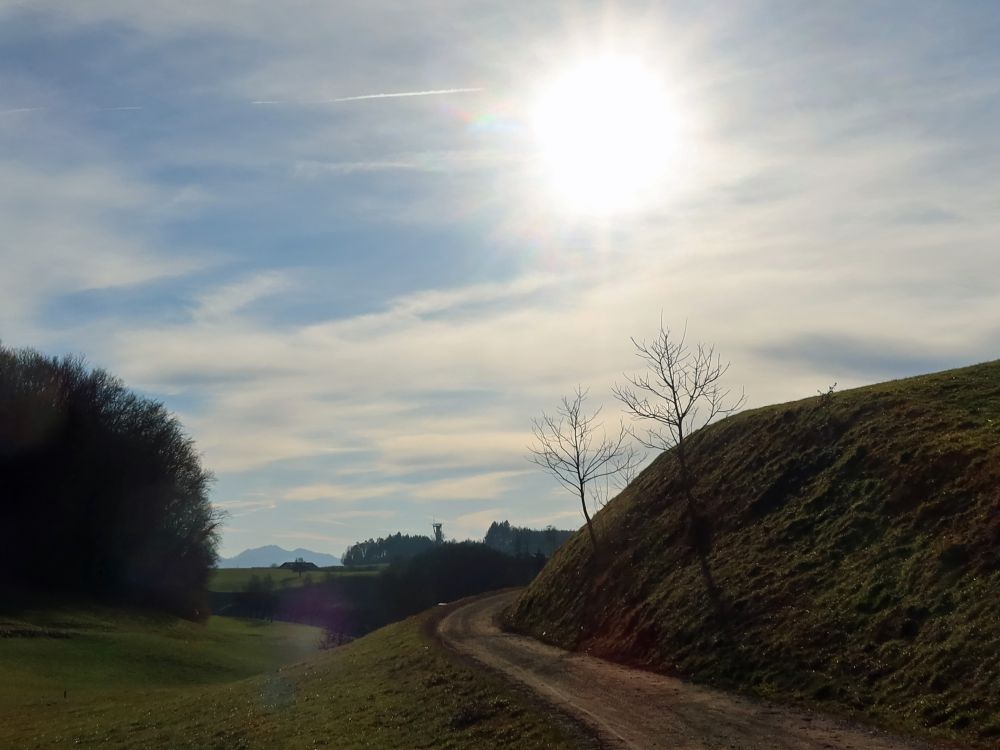 Wiler Turm und Gegenlicht