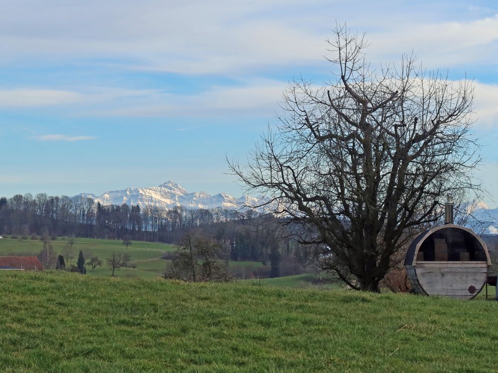 Holzfass mit Säntis