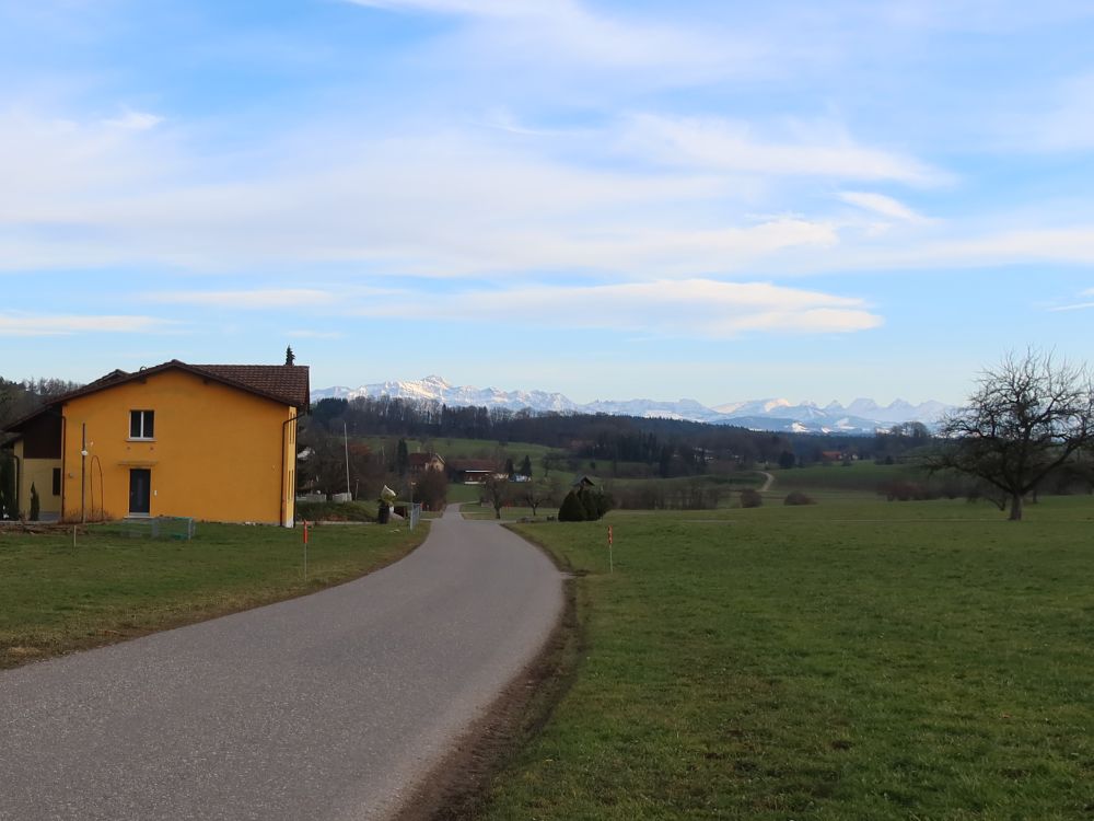 Blick Richtung Säntis und Churfirsten