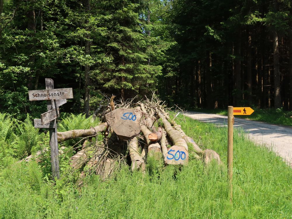 Umleitung Wanderweg