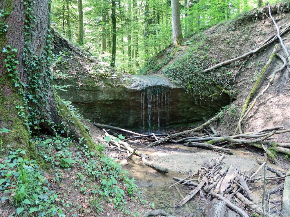 Wasserfall am Steintobelbach