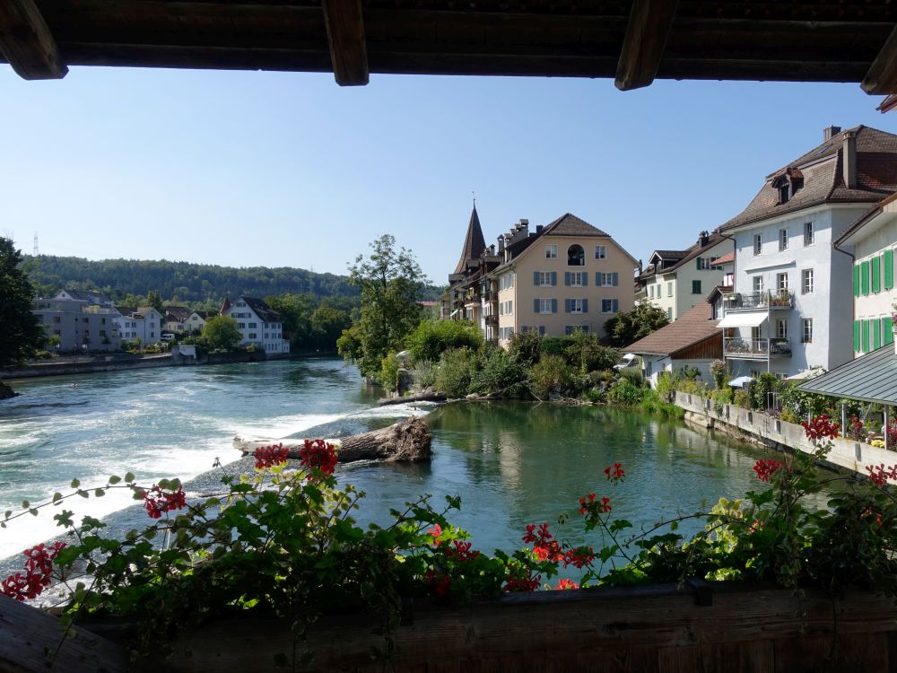 Blick von der Reussbrücke