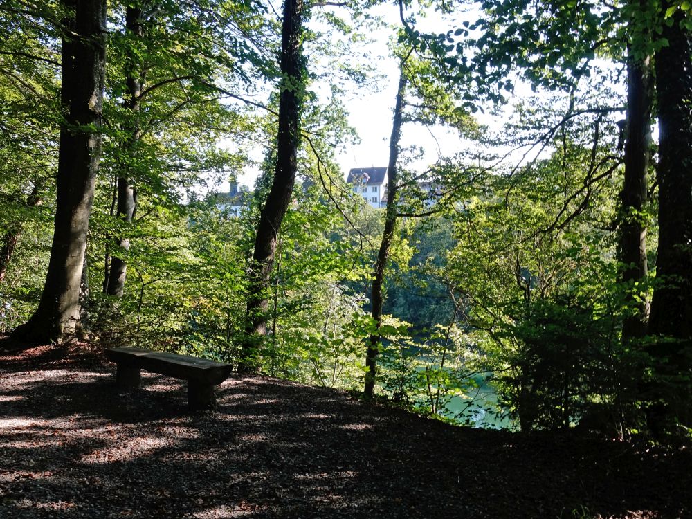 Blick Richtung Kloster Hermetschwil