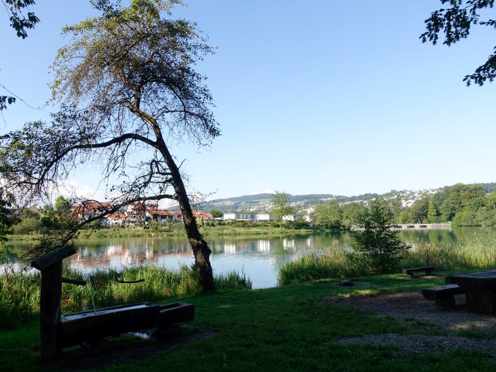 Picknickplatz am Reussufer