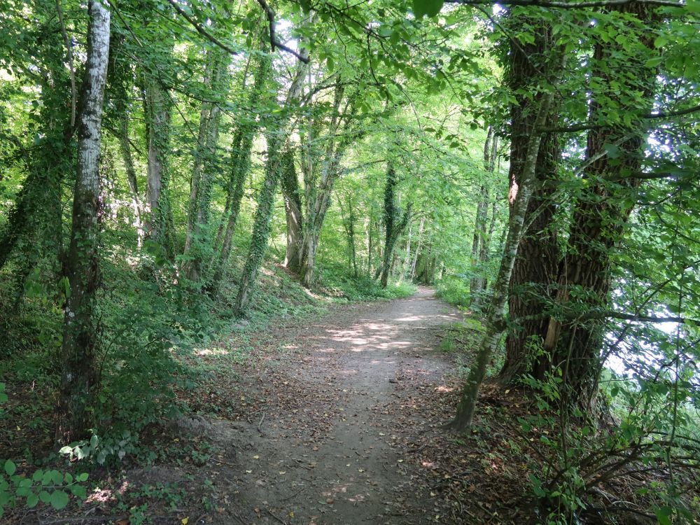 Uferweg