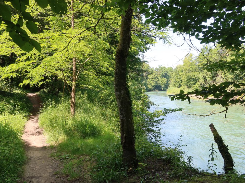 Pfad an der Reuss