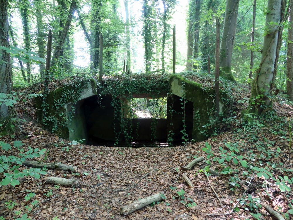 Geschützstand