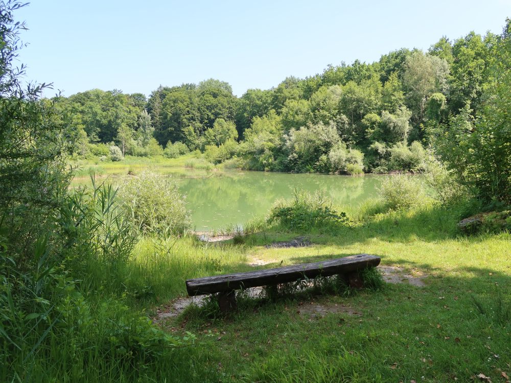 Bank am Hegnauer Weiher