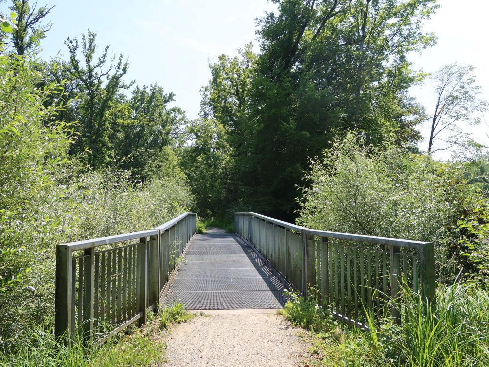 Steg am Hegnauer Weiher