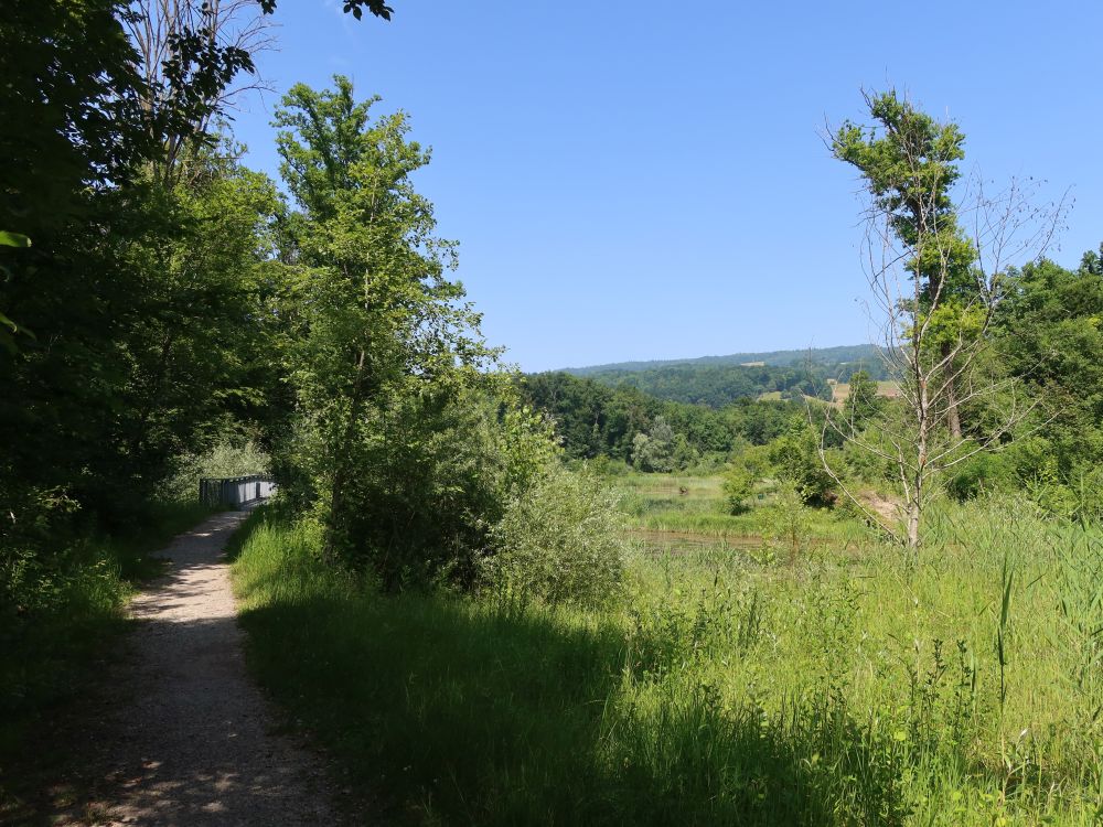 Hegnau