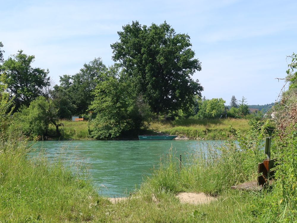 Reuss bei Fähre Sulz