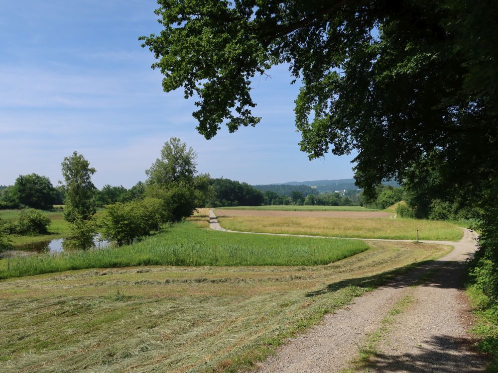 Weg bei Rüsstobel