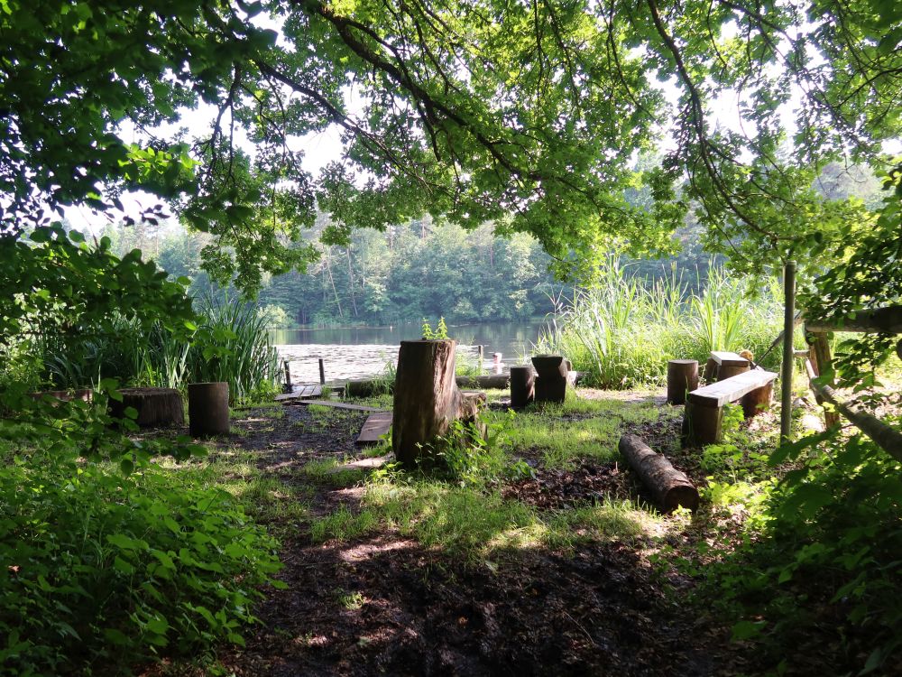 Moosweiher