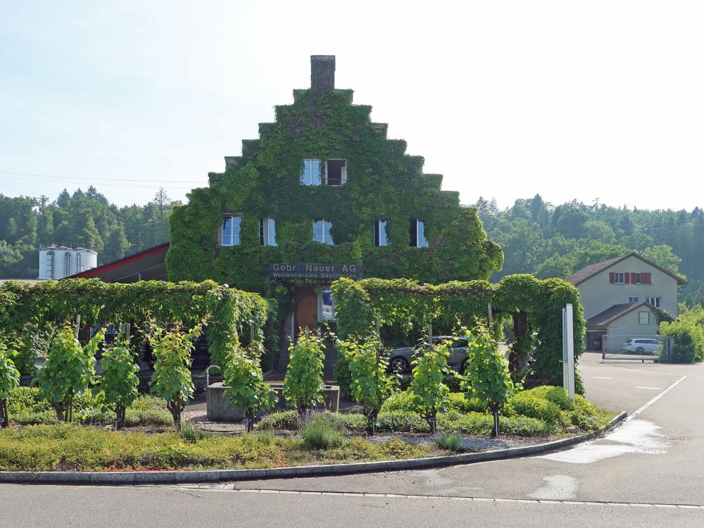 begrünter Giebel