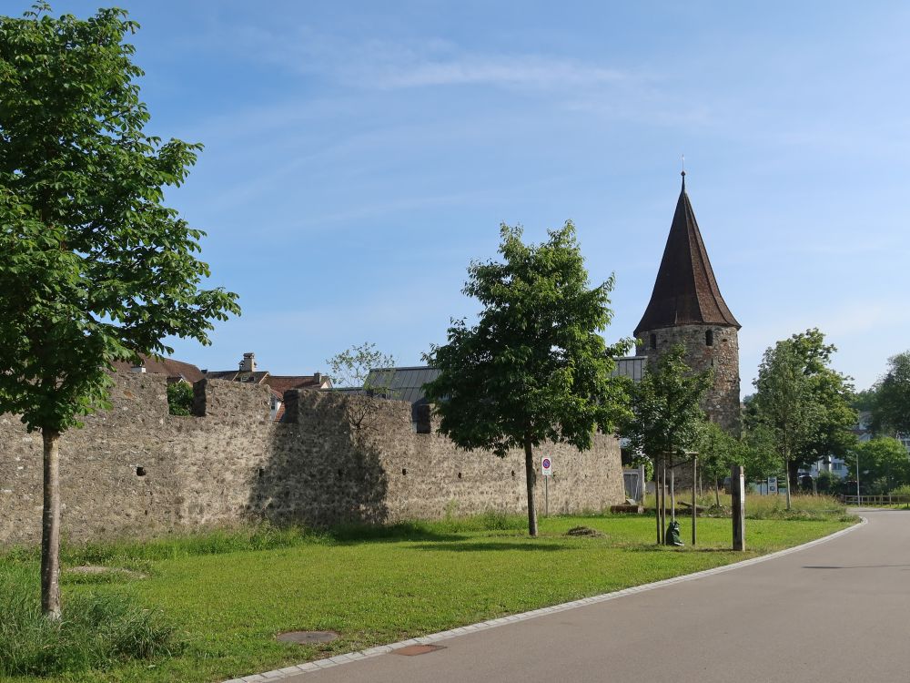 Stadtmauer mit Hexenturm