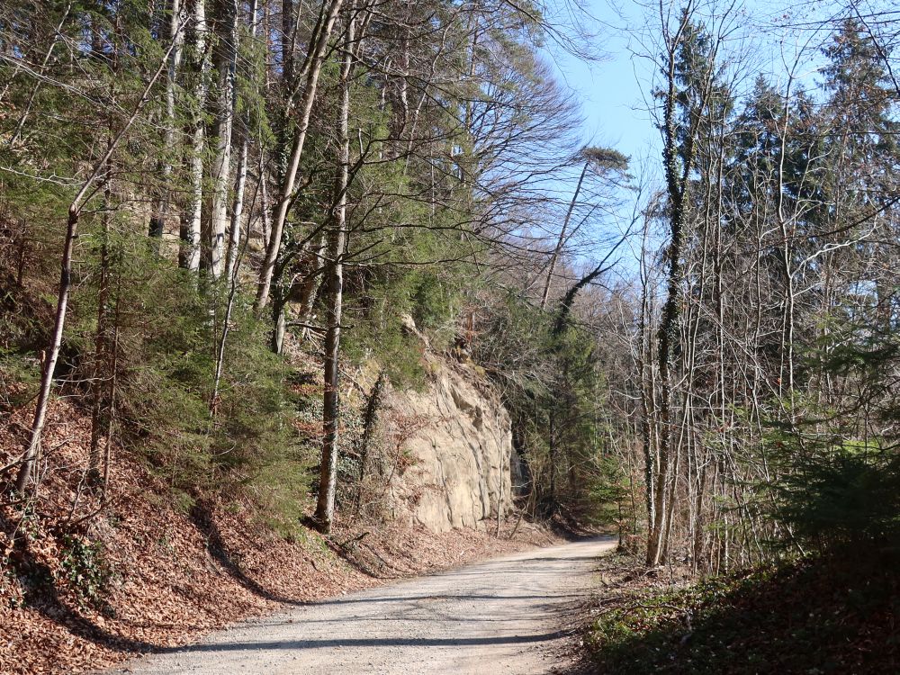 Felswand am Wirtschaftsweg