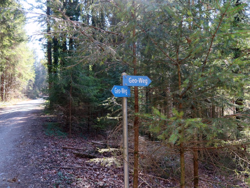 Wegweiser