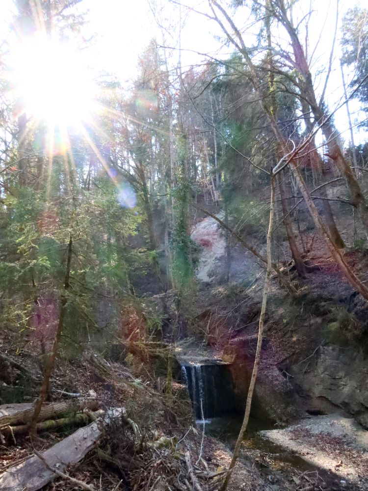 Wasserfall im Gegenlicht