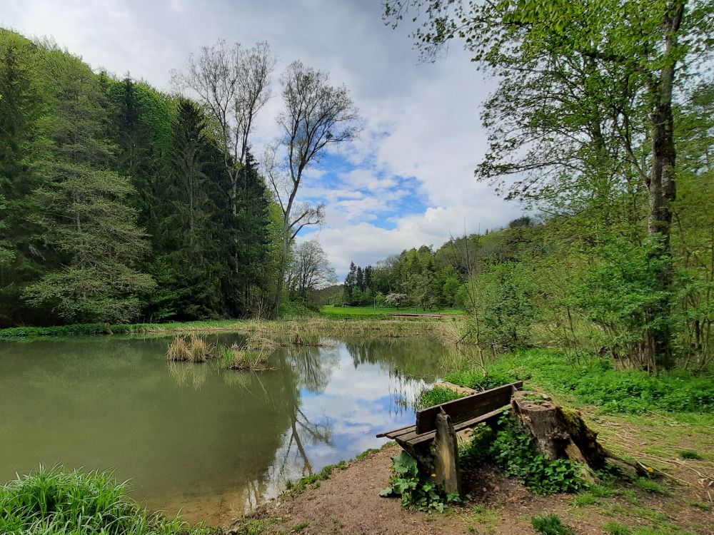 Weiher mit Sitzbank