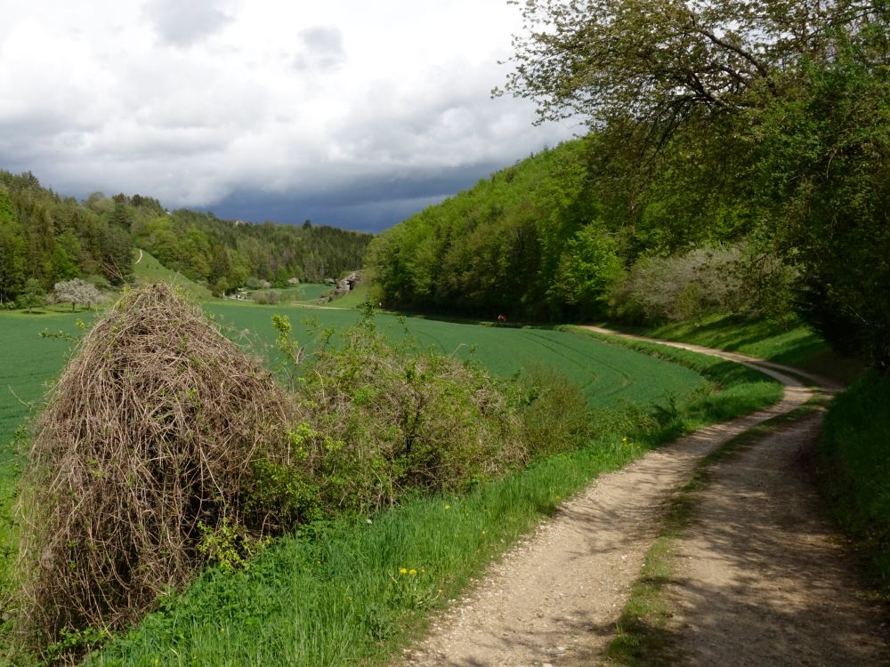 Eiszeitpatk im Brudertal