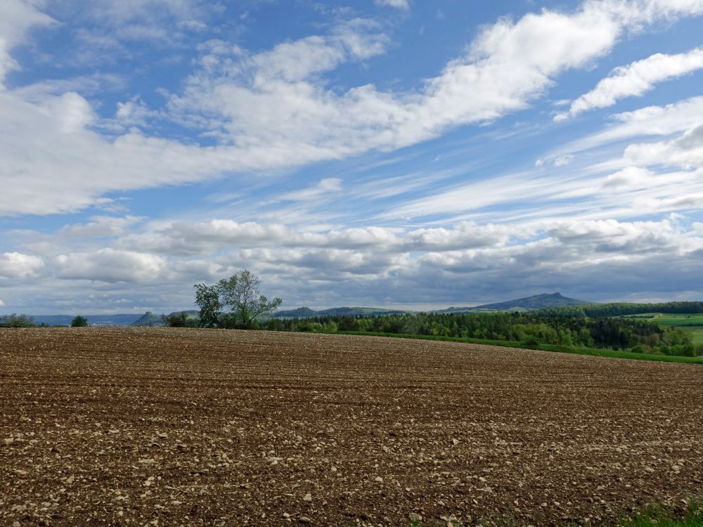 Hohenkrähen, Mägdeberg, Hohenstoffeln