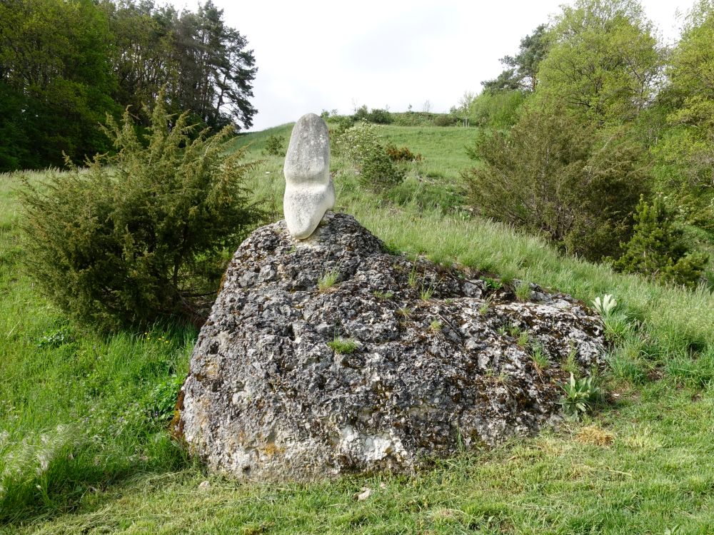 Fels unter Weinhalden