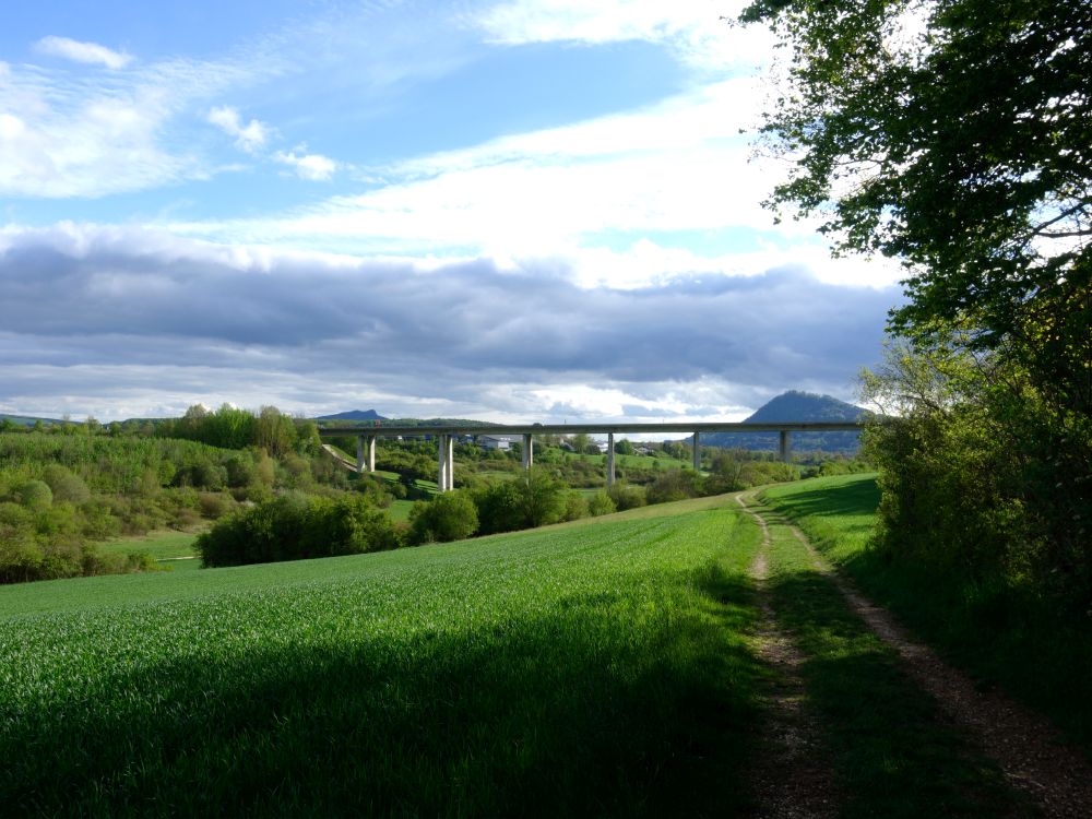 Autobahnbrücke bei Engen