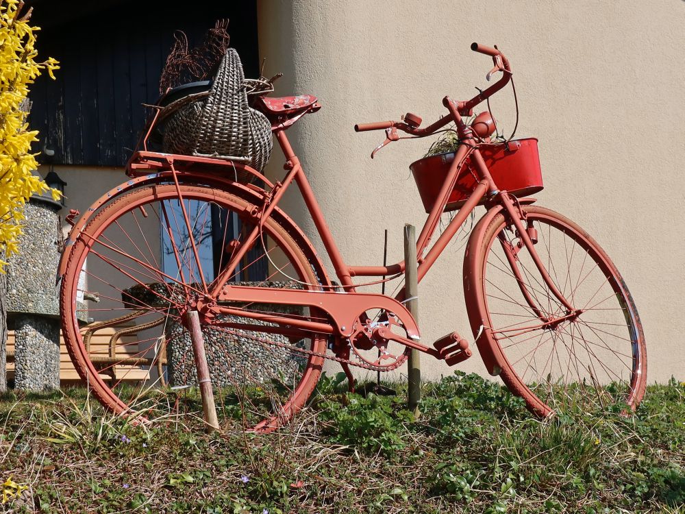 Fahrrad als Gartenschmuck