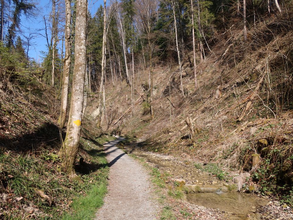 Weg am Hohlen Stein