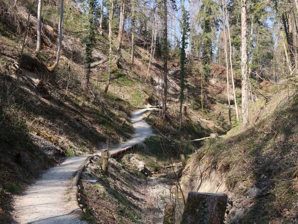 Weg am Hohlen Stein