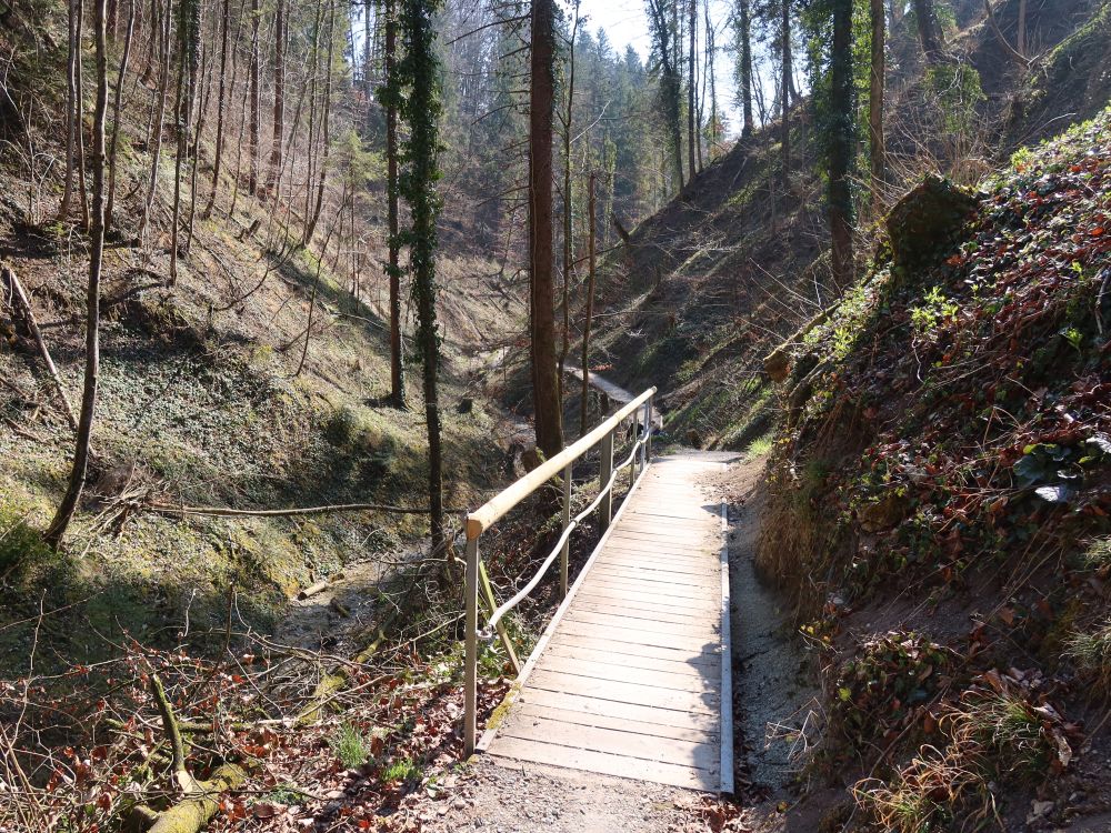 Steg am Hohlen Stein