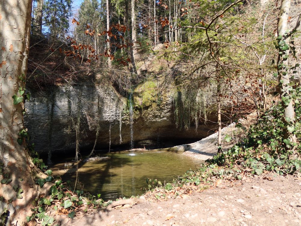 Wasserfall und Teich am Hohlen Stein