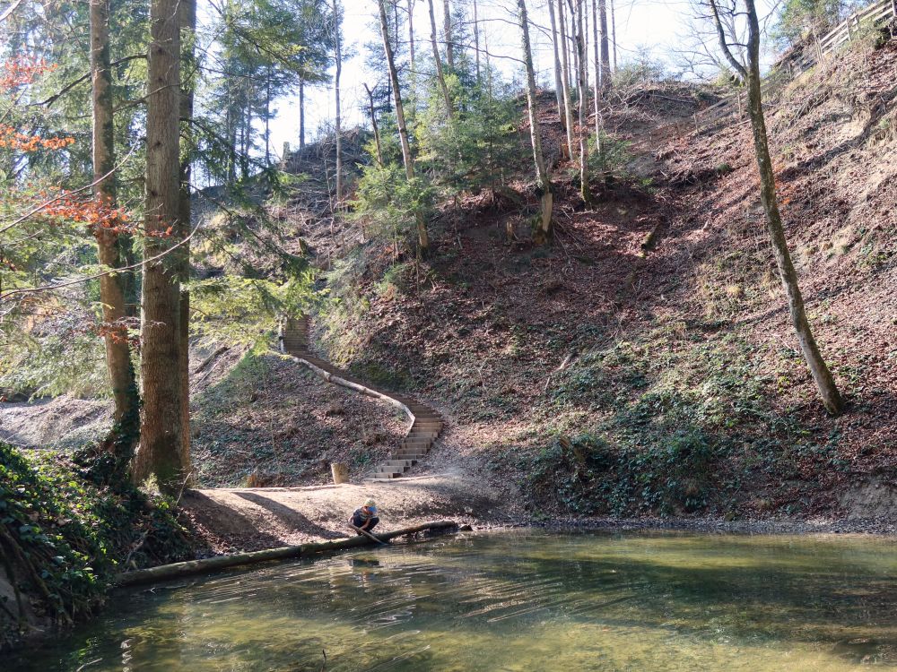 Teich und Treppe am Hohlen Stein