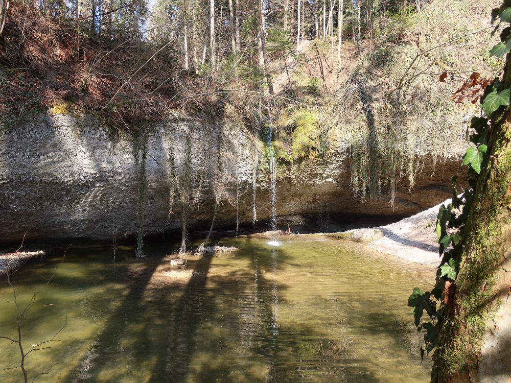 Wasserfall und Teich am Hohlen Stein