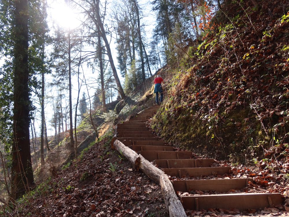 Treppe am Hohlen Stein