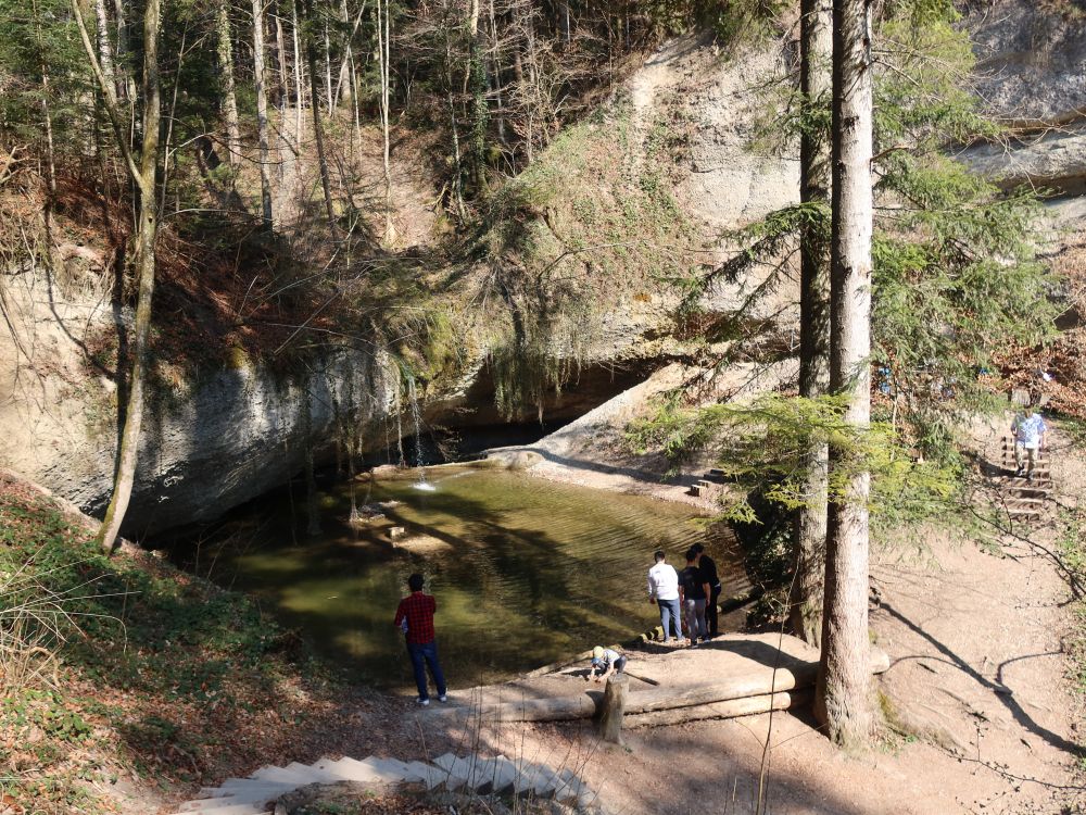 Teich am Hohlen Stein