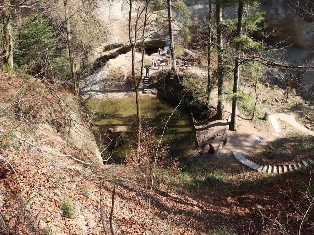 Teich am Hohlen Stein