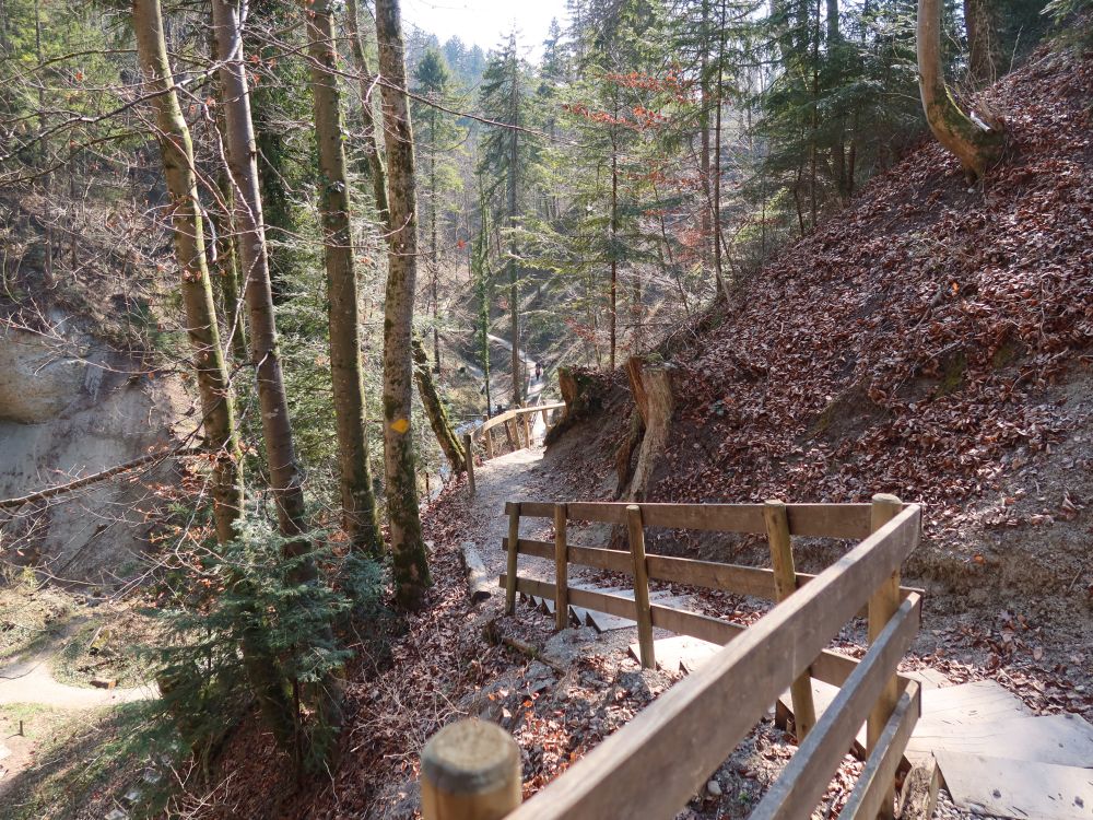 Pfad an Hohlen Stein