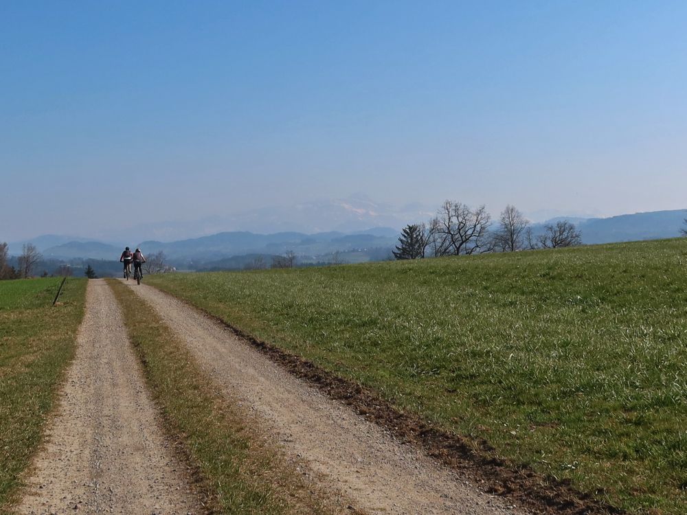 Radfahrer und Säntisblick