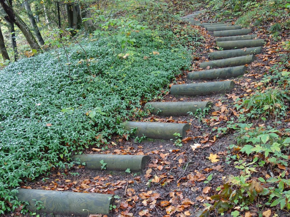 Treppe