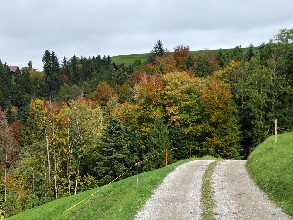 Herbstfarben