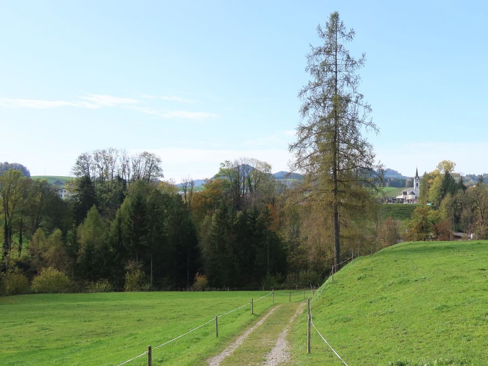 Wanderweg bei Ötschwil