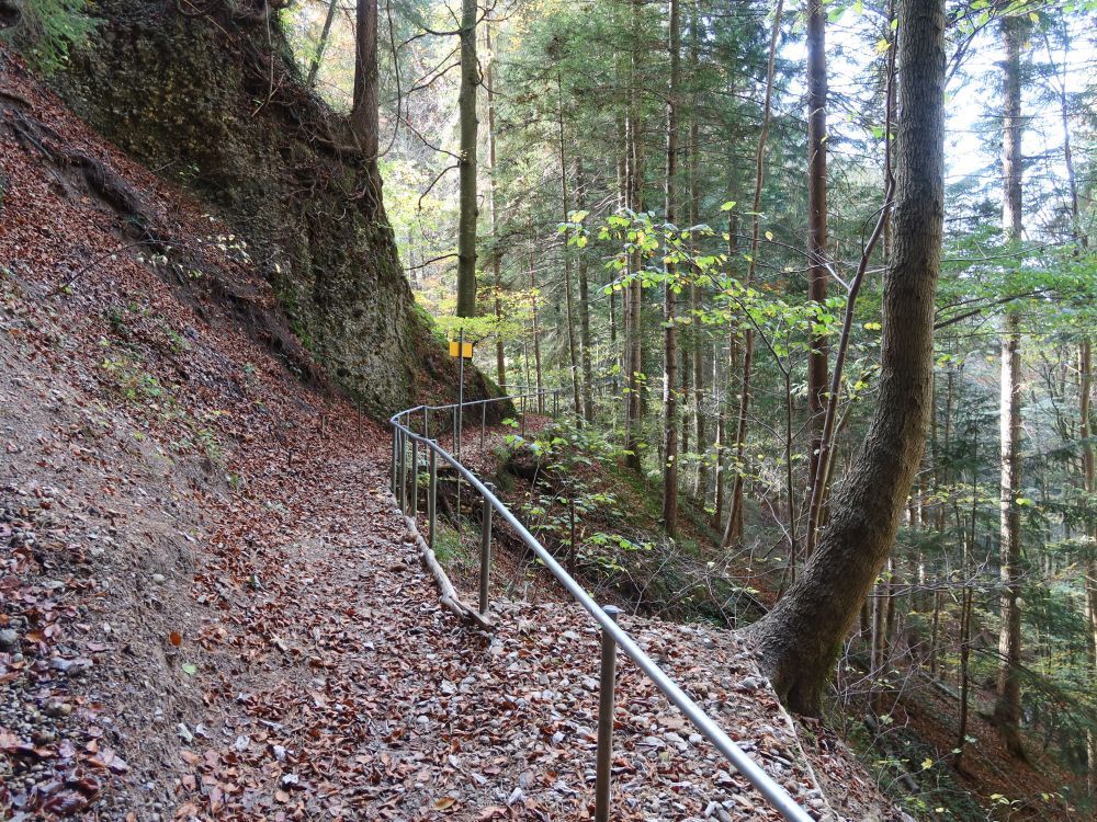 Pfad im Bruedertöbeli