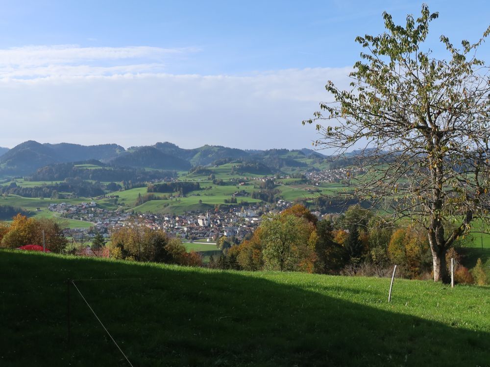 Bütschwil